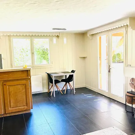 Spacious In With Mont Blanc View *