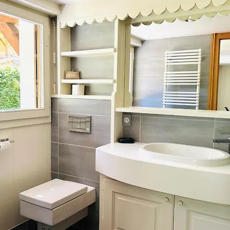 בקתה Spacious In With Mont Blanc View