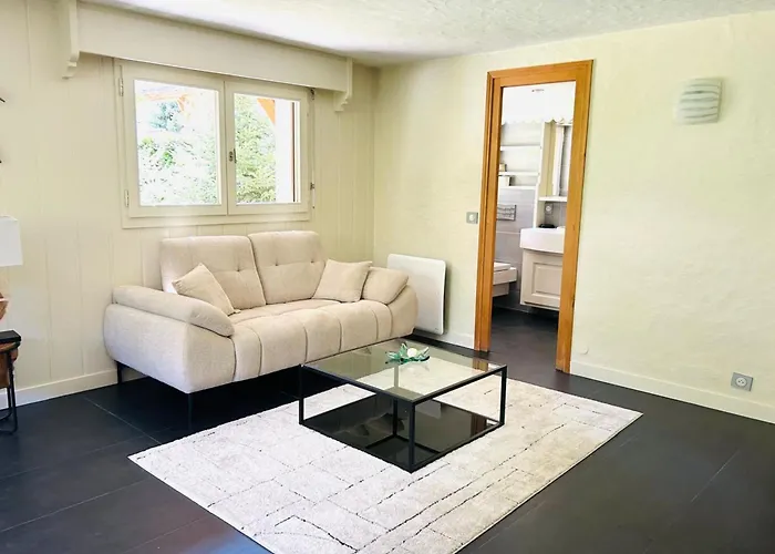 シャレー Spacious In With Mont Blanc View *