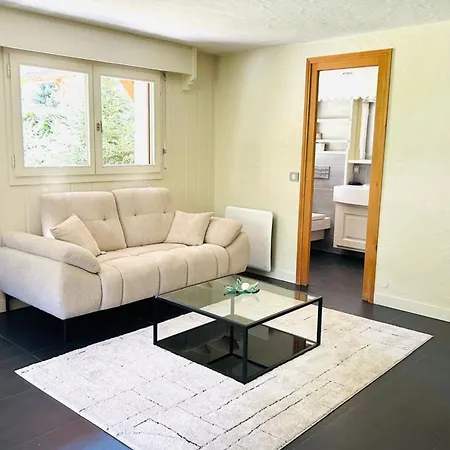 Chalé Spacious In With Mont Blanc View *