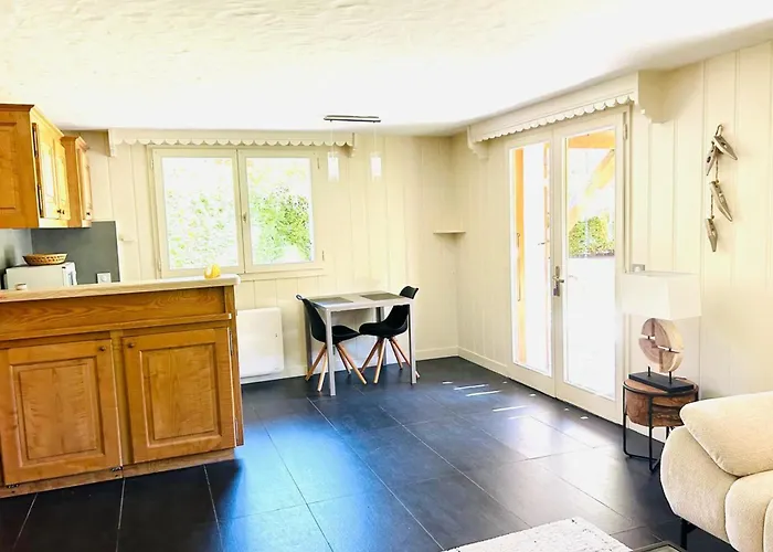 Spacious In With Mont Blanc View *