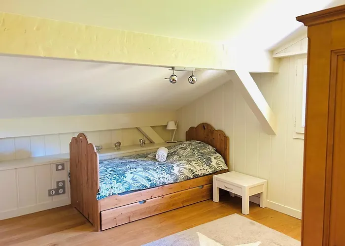 Spacious In With Mont Blanc View Chamonix