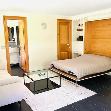 Spacious In With Mont Blanc View *