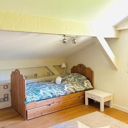 Spacious In With Mont Blanc View Σαμονί