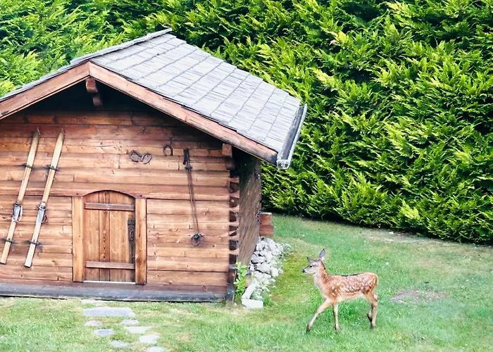 Spacious In With Mont Blanc View